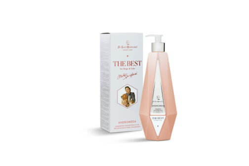 Șampon reconstructiv ANDROMEDA cu extract de măceșe 550 ml - imagine 2