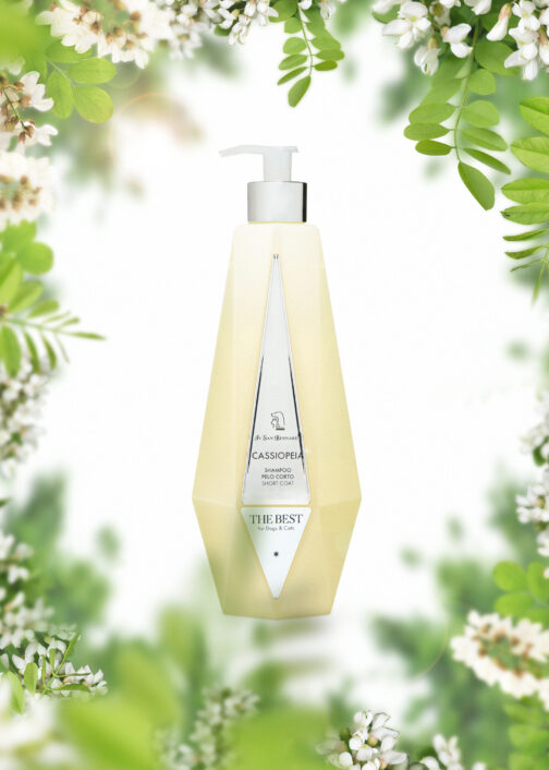 Șampon pentru blană scurtă CASSIOPEIA cu extract de gumă de salcâm 550 ml - imagine 3