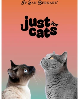Just For Cats